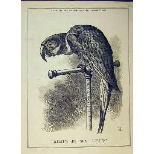  Liberal Party 1885 Parrot Stand Bird Politics Print