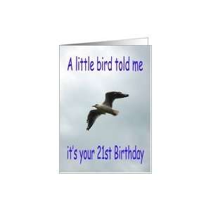  Happy 21st Birthday Flying Seagull bird Card Toys & Games