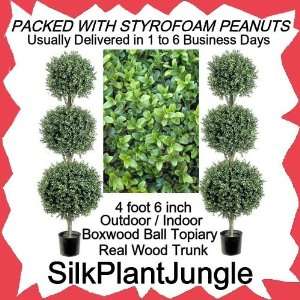   Boxwood 3 Ball Topiary Trees, real wood trunk, packed with peanuts
