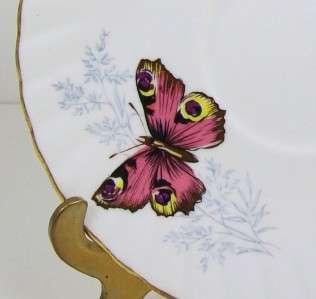   Cup Rosina Peacock Butterfly Queens Fine Bone China England  