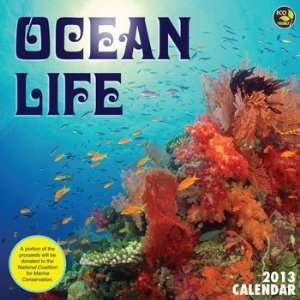  Ocean Life 2013 Wall Calendar 12 X 12
