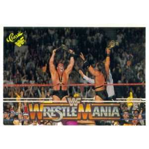   Wrestling Card #140  Demolition (WrestleMania VI)