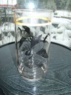 clear drinking glass, yellow band, canadian geese  