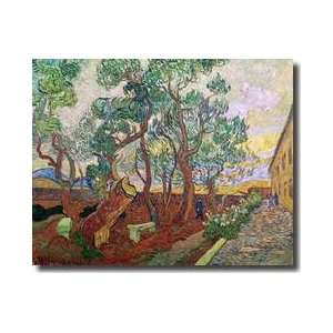  The Garden Of St Pauls Hospital At St Remy 1889 Giclee 