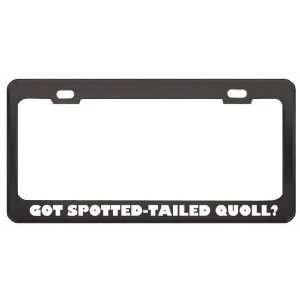 Got Spotted Tailed Quoll? Animals Pets Black Metal License Plate Frame 