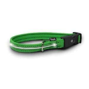 Visiglo Green LED Illuminated Small Dog Collar 10 to 14 