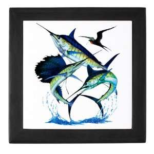   Box Black Sailfish Swordfish and Marlin Fishing 