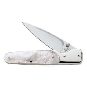  Case Cutlery 05170 SlimLock Pocket Knife with BG 42 Blade 