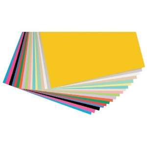  Pacon Card Stock 65#   12 x 12 inches   Assorted Office 