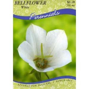  Bellflower   White (Perennial) Patio, Lawn & Garden