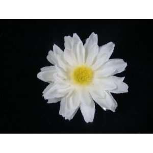  2 Inch Small White Daisy Hair Flower Clip Beauty