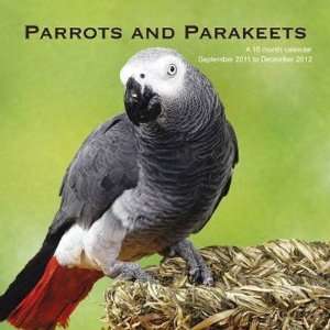  Parrots and Parakeets 2012 Wall Calendar 12 X 12 Office 