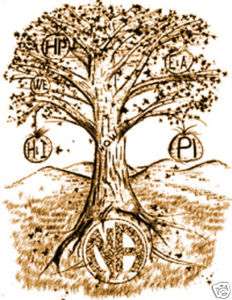 Narcotics Anonymous   NA Service Tree 2 Sided  