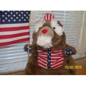  America Transforming Teddy Bear Toys & Games