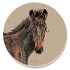 CounterArt The Foal Absorbent Coasters, Set of 4