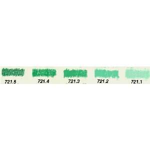   721 Winsor Green (Yellow Shade) Tint 1 Perm. A Arts, Crafts & Sewing