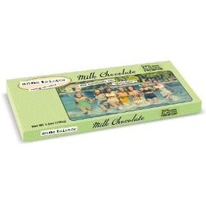 Anne Taintor Did Someone Say Chocolate? Bar 3.5 oz. 10 Count 
