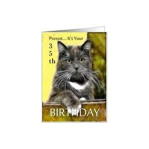    Birthday ~ Age Specific 35th ~ Cat in a box Card Toys & Games