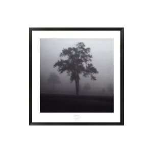 Fog Tree Study I by Jamie Cook 34x35 