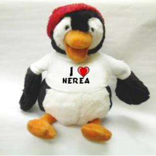 Chubbs Plush Penguin Toy with I Love Nerea T Shirt  SHOPZEUS Toys 
