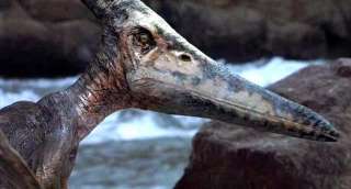 Pteranodon as seen in the film Jurassic Park III