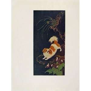  Modern Pekingesee Dog Shen Chen Old Print Color C1950 