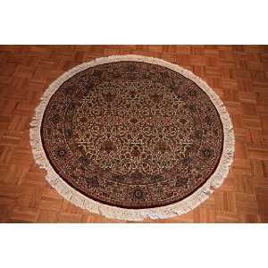    5x5 Hand Knotted Kerman Chinese Rug   50x50