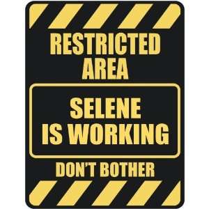   RESTRICTED AREA SELENE IS WORKING  PARKING SIGN