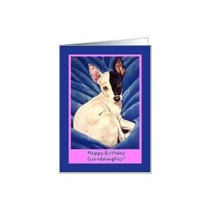  Birthday Granddaughter ~ Chihuahua Dog Card Toys & Games