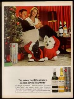   & Westie photo Black & White Scotch Whisky Xmas print ad  
