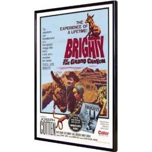  Brighty of the Grand Canyon 11x17 Framed Poster