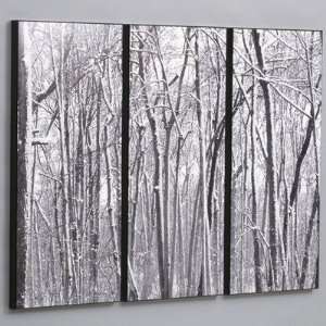  Three Piece Snow Covered Woods Laminated Framed Wall Art 