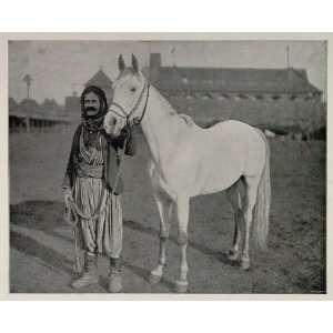  1893 Chicago Worlds Fair Bedouin Arabian Horse Nejdee 