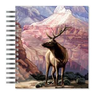  Canyon Elk Picture Photo Album, 18 Pages, Holds 72 Photos 