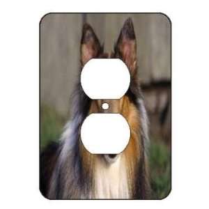 Collie Dog Light Switch Outlet Covers