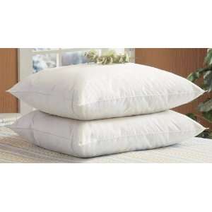  2 Aroma Therapeutic Feather / Down Pillows