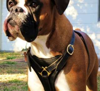 Padded Premium Leather Walking Dog Harness Medium Brown  