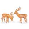   Reindeer With Clear Lights Christmas Decoration 729083930904  