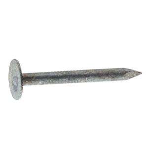 Buy a Grip Rite #11 X 1 1/4 In. Electro Galvanized Steel Roofing Nails 