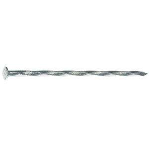   Rite 2 1/2 in. 8D Hot Galvanized Spiral Shank Deck Nails (1 lb. Pack