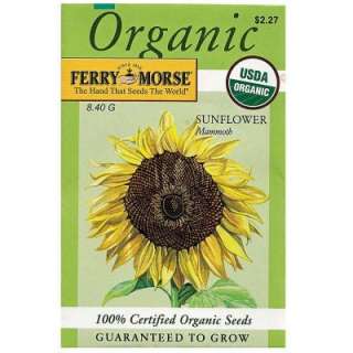 Ferry Morse Sunflower Mammoth Seed 3001  