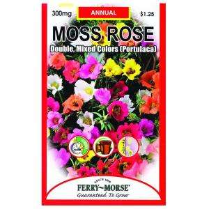 Ferry Morse Moss Rose Double Mixed Colors Portulaca Seed 1095 at The 