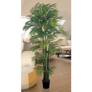   USA zeusd1 CALA 4270450 Areca Silk Palm Tree 7 Inch