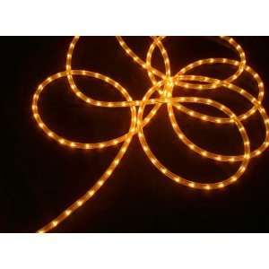   Orange Indoor/Outdoor Christmas Rope Light Decoration