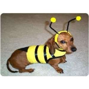  Dog Bumble Bee Costume   XXL