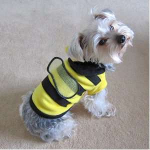   Couture Pet Apparel   Bumble Bee Costume   Size XS