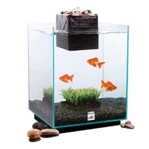 Fluval Chi Aquarium Kit, 5 Gallon Pet Supplies  