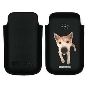  Akita Puppy on BlackBerry Leather Pocket Case Electronics