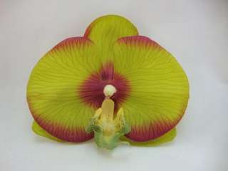 Large Latex Orchid 3.5 inch Wide Alligator Clip and Pin Back Brooch