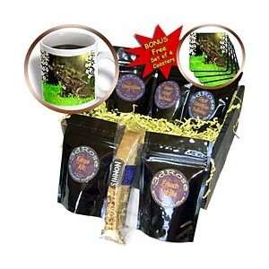   Big Cat Designs   Bobcat and Flowers   Coffee Gift Baskets   Coffee
